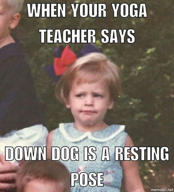 yoga troy michigan, yoga tune up